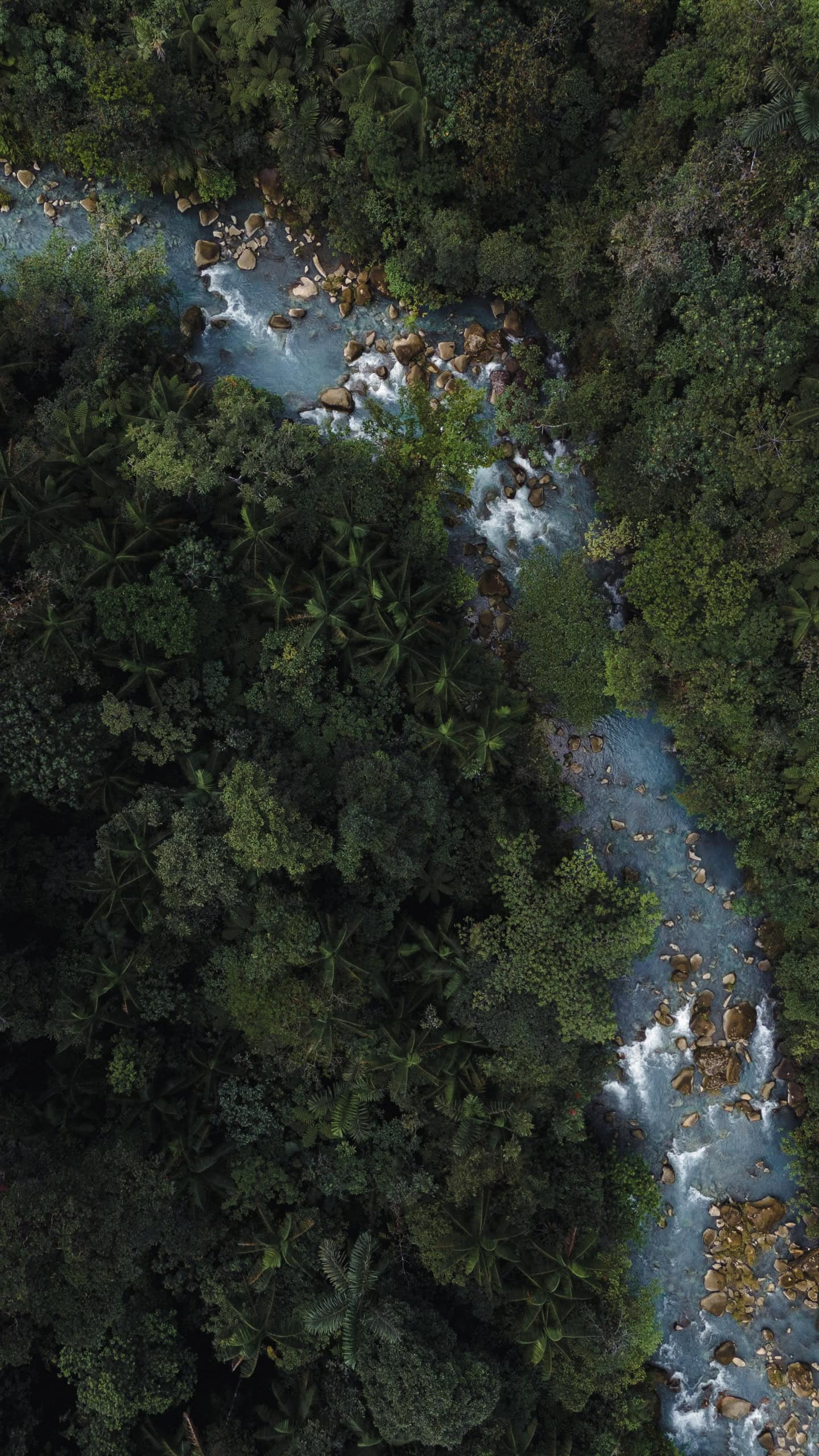 Rio Celeste Hideaway Hotel Review, Costa Rica