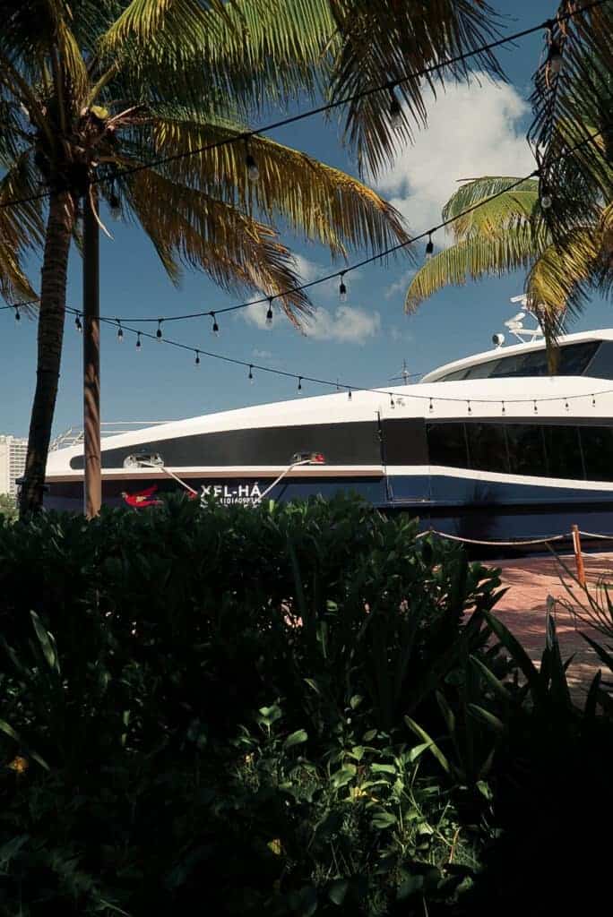 Boats and palms in the Cancun Hotel Zone