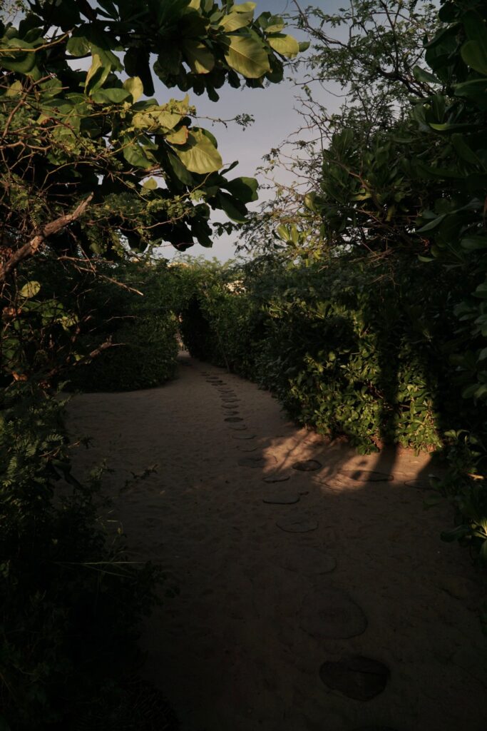 Sandy garden path through tropical plants at Casona Sforza