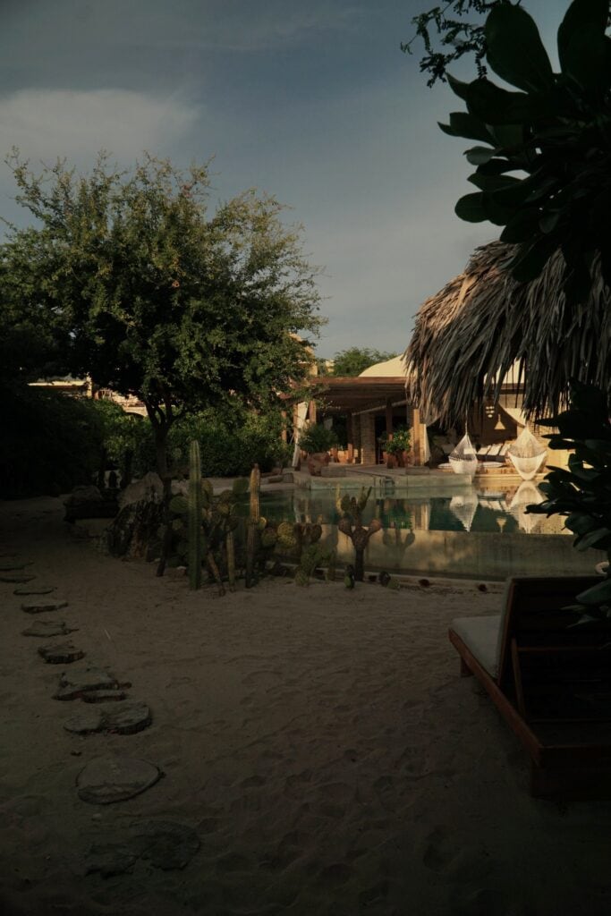 Stepping stones through the cactus garden to the pool at Casona Sforza