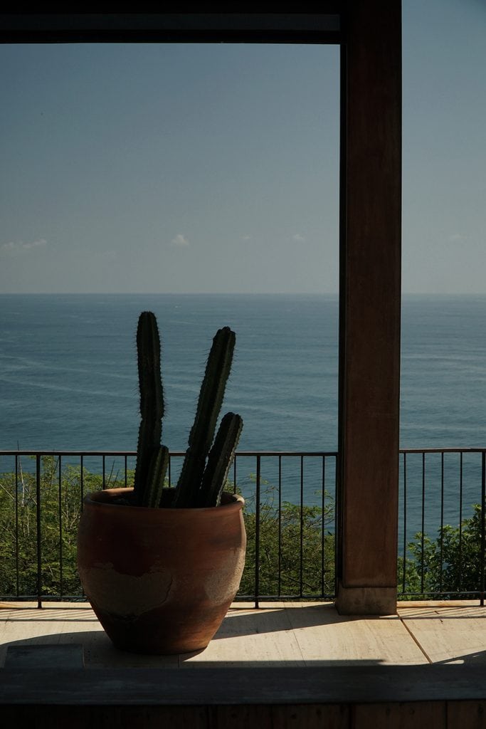 Cactus ocean view at La Valise Mazunte, Oaxaca