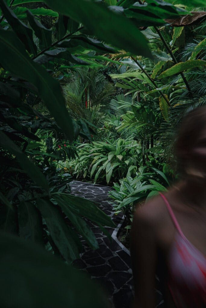 Jungle path through the gardens at Tabacon Hot Springs