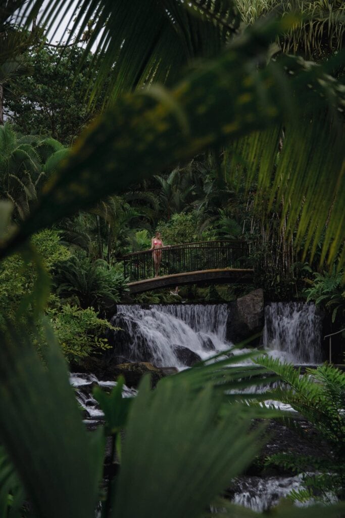 Waterfall and footbridge in the Tabacon gardens